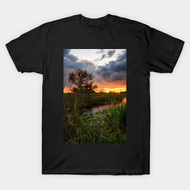 Florida Wetland at Sunset T-Shirt by JeffreySchwartz